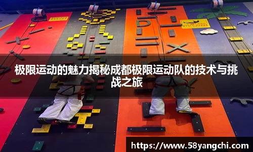 28圈体育