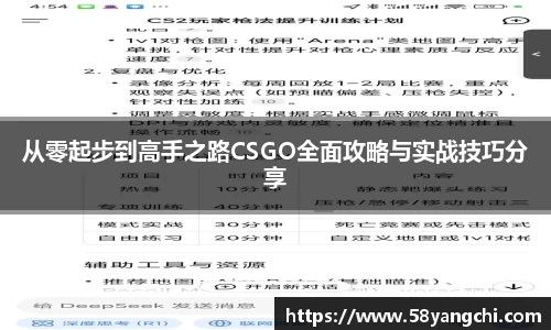 从零起步到高手之路CSGO全面攻略与实战技巧分享