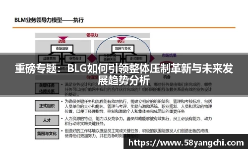 NG娱乐