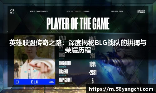 NG娱乐